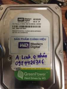 Phục hồi dữ liệu ổ cứng Western 1TB không nhận 09.09