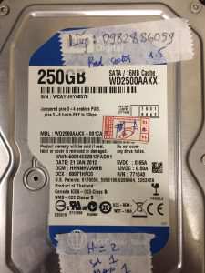 Phục hồi dữ liệu ổ cứng Western 250GB bad nặng 01.02