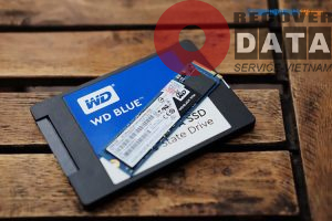SSD Western Digital Blue 2.5